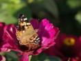 /album/fotogalerie/p9270386-jpg/